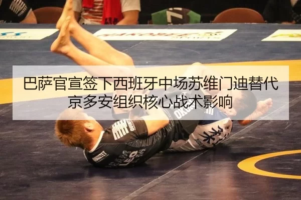 ba-sa-guan-xuan-qian-xia-xi-ban-ya-zhong-chang-su-wei-men-di-ti-dai-jing-duo-an-zu-zhi-he-xin-zhan-shu-ying-xiang-2-611.jpg